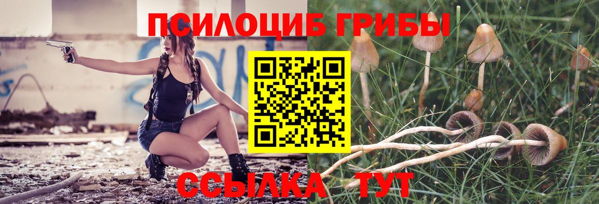 Тихорецк  Галлюциногенные грибы мицелий  Вход с VPN  наркотики  Псилоцибиновые грибы ЛСД 